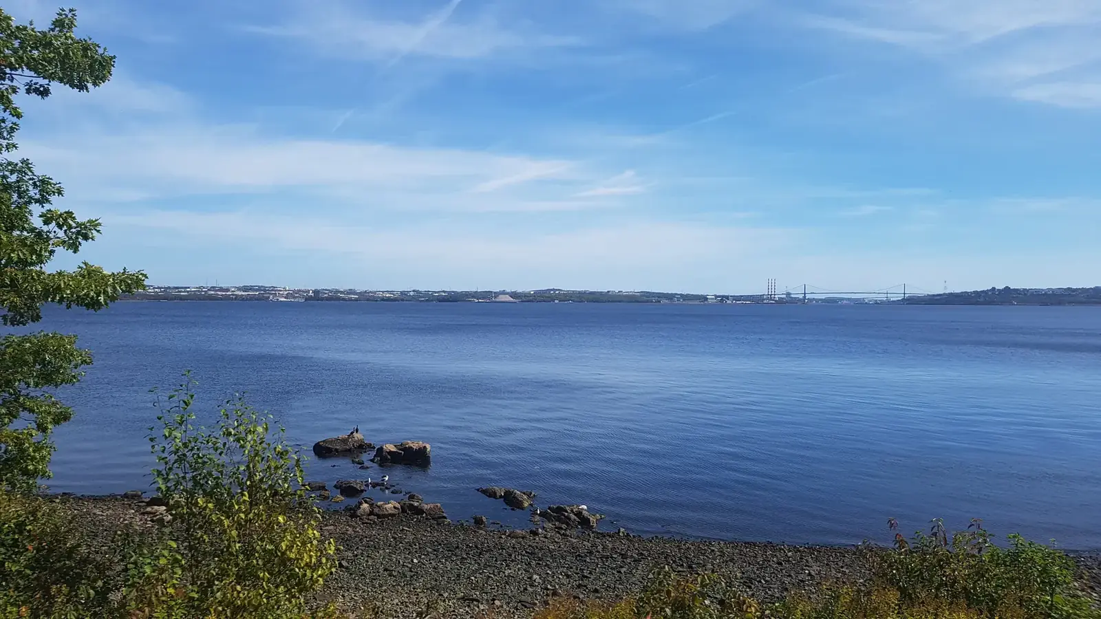 The Bedford Basin