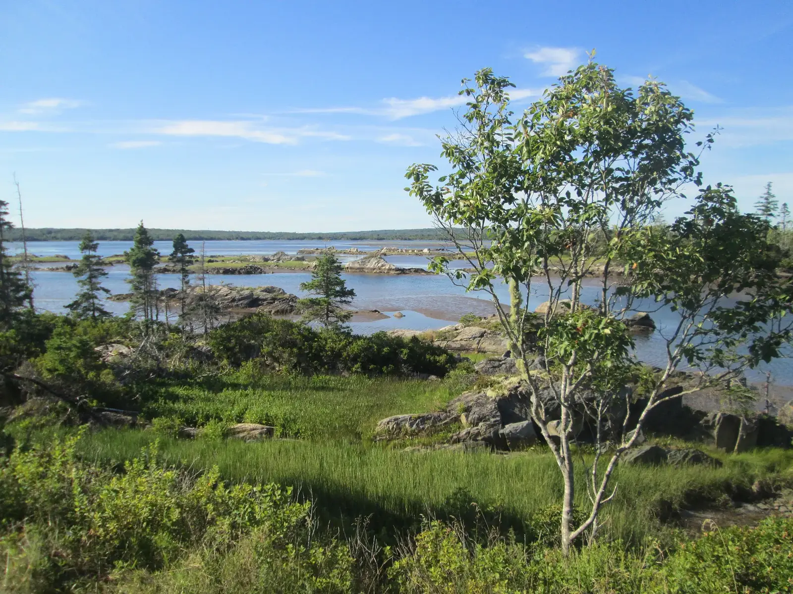 The Salt Marsh Trail, Cole Harbour