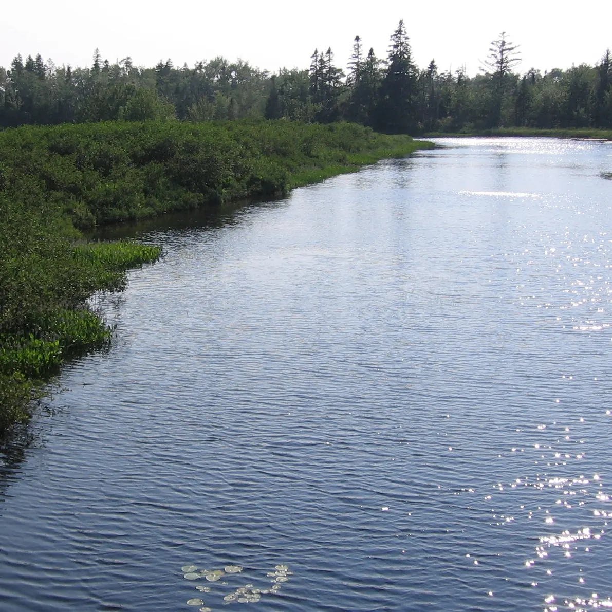 The Sackville River