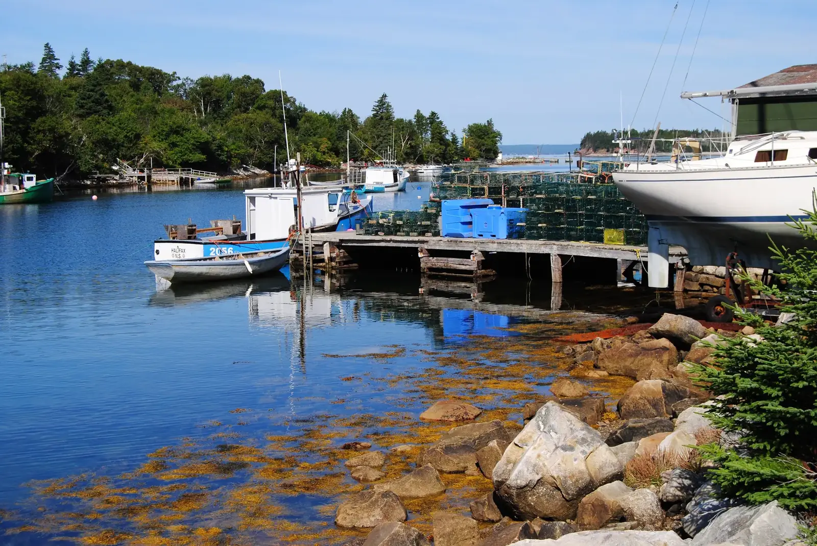 Lobster traps on St. Margaret's Bay