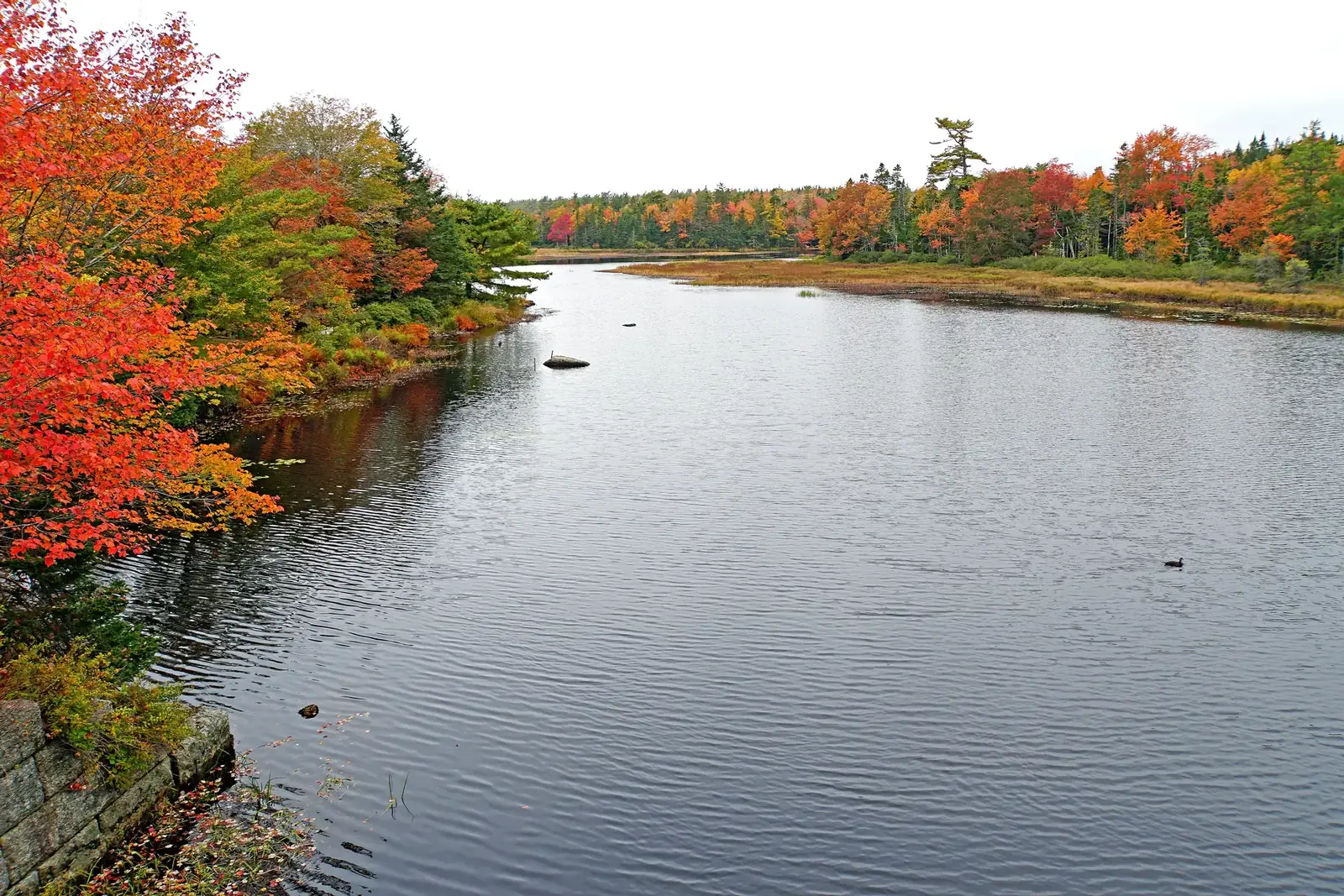 Fall colours in Timberlea